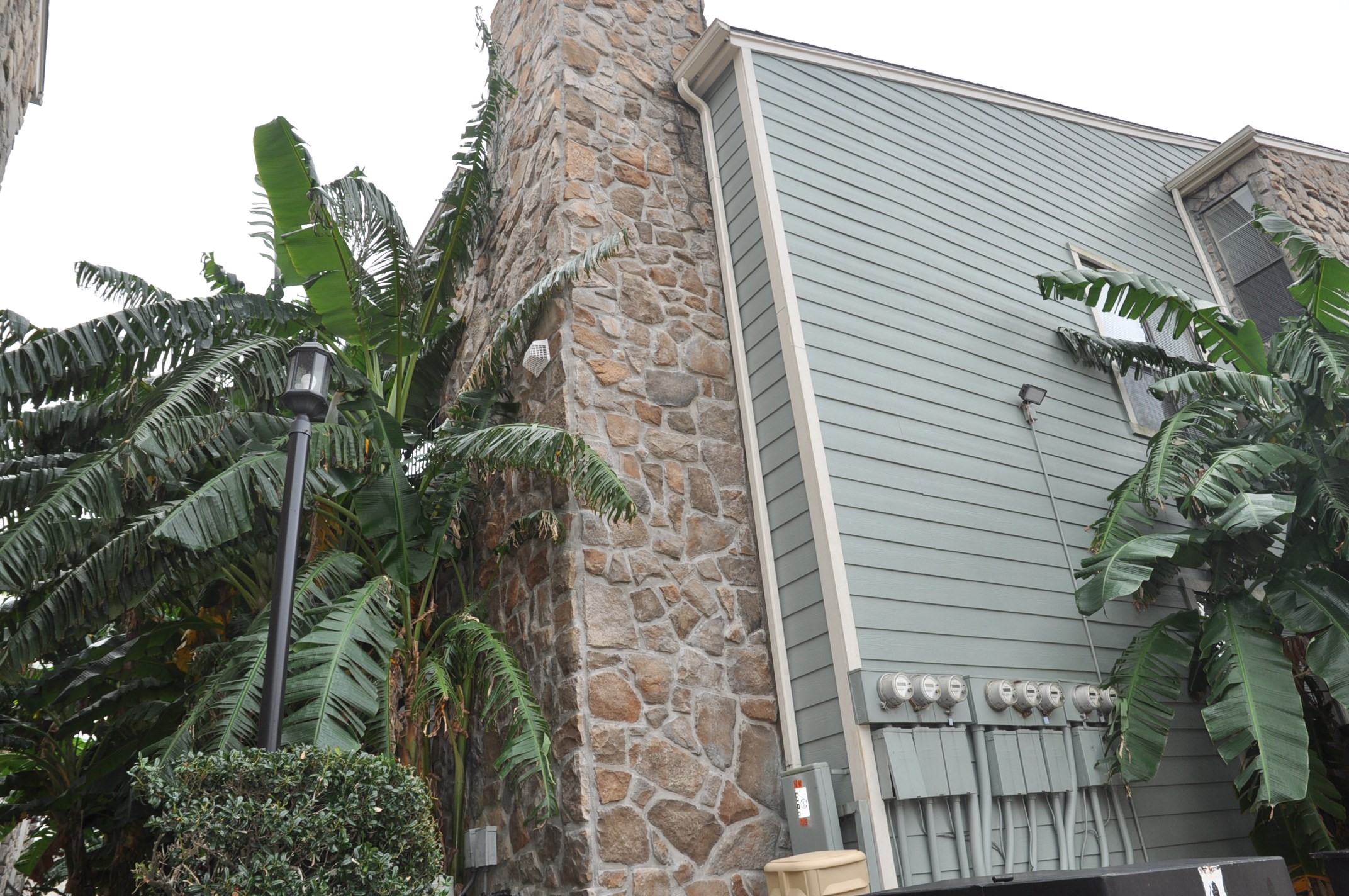 3754 Tanglewilde Street, Unit C16 Houston, TX 77063 - Photo 33 of 33 a view of a house with a tree