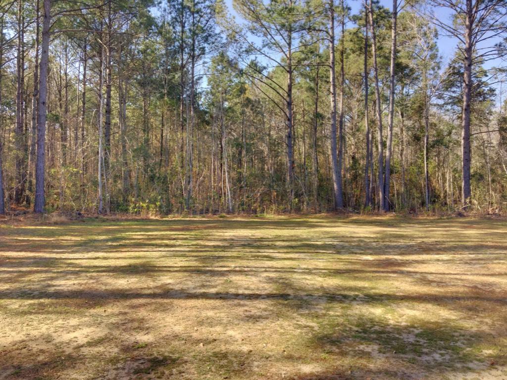 6222 Maxville Road Awendaw, SC 29429 - Photo 25 of 28 18 Backyard