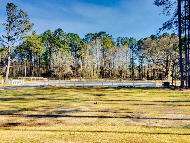 6222 Maxville Road Awendaw, SC 29429 - Photo 26 of 28 19 Front Yard
