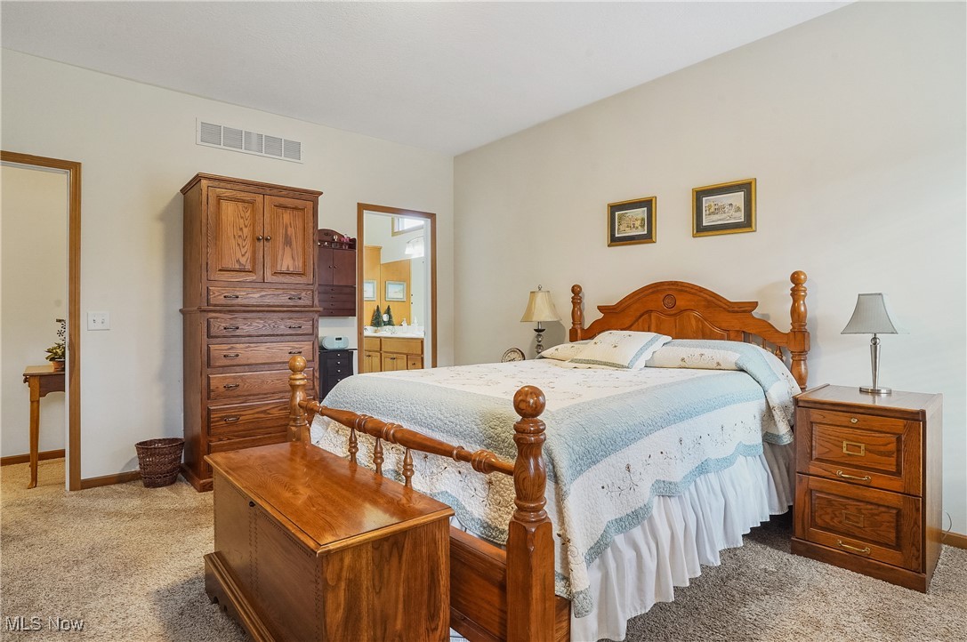 861 Susan Road Ravenna, OH 44266 - Photo 27 of 45 Bedroom featuring light colored carpet and ensuite bathroom