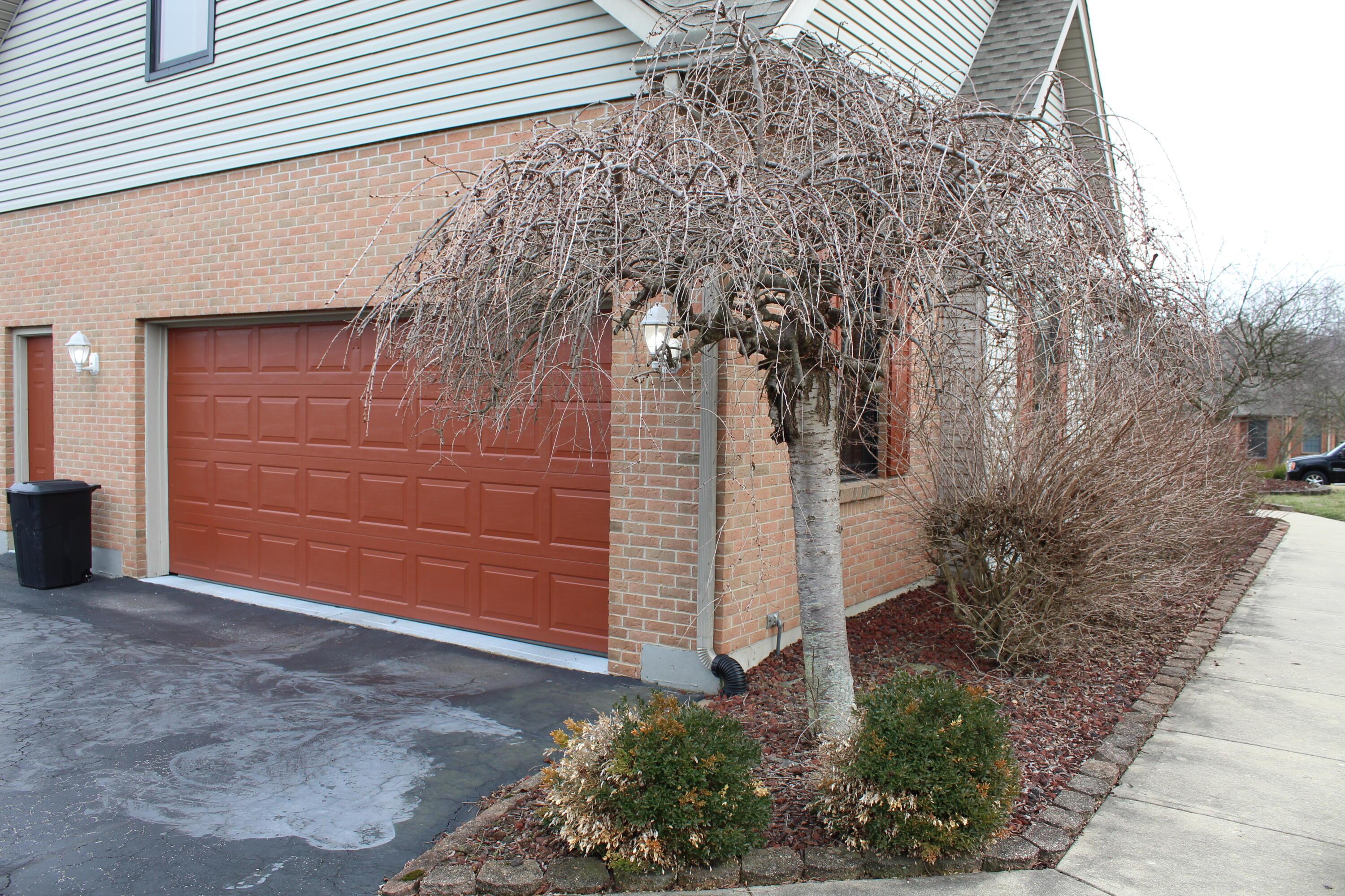 570 Todds Ridge Road Wilmington, OH 45177 - Photo 4 of 38 Garage Area
