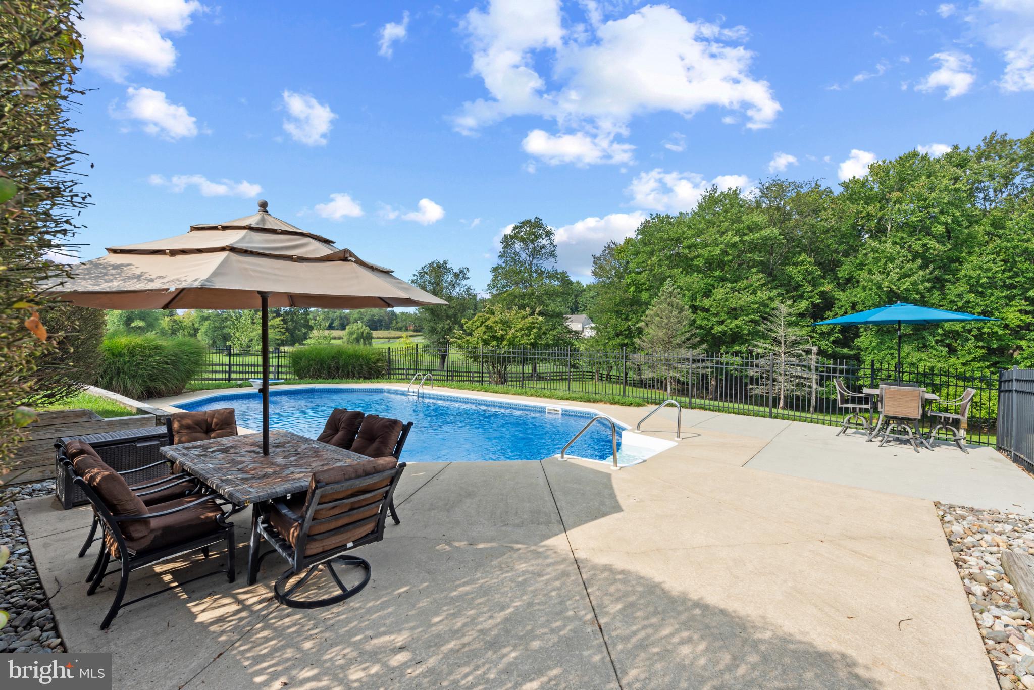 1105 Shaffersville Road Mount Airy, MD 21771 - Photo 14 of 46 Sparkling Pool surrounded by Lush Landscaping