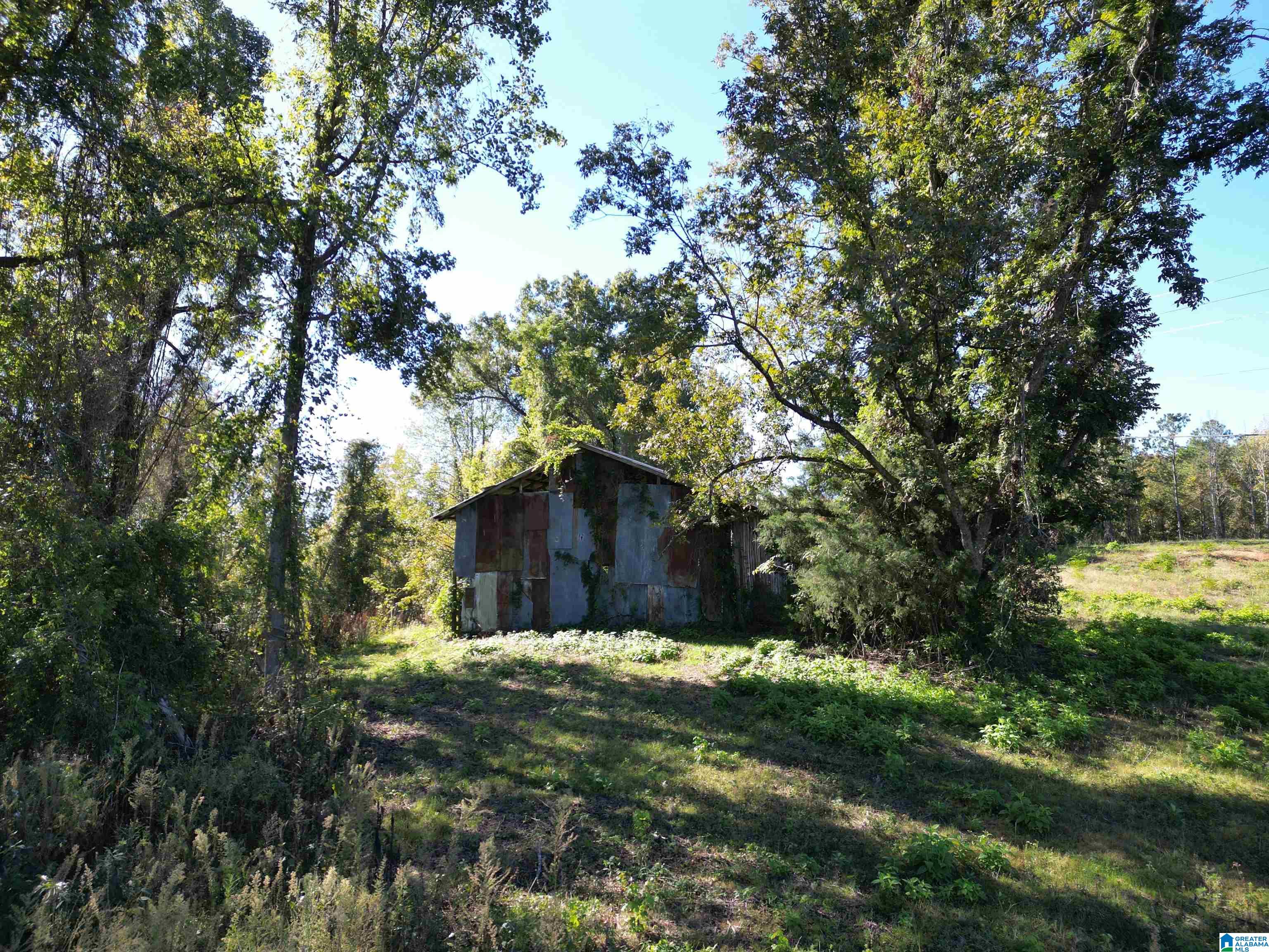 0 Payne Lk Road, Unit 1 Brent, AL 35034 - Photo 1 of 9