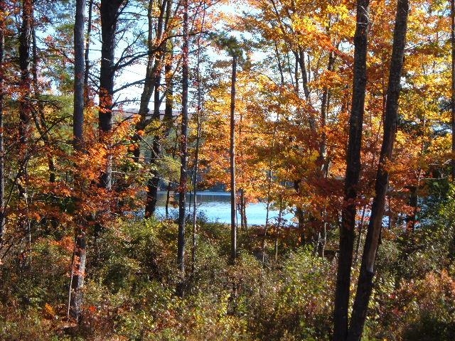 356 Birch Hill Road New Durham, NH 03855 - Photo 33 of 35