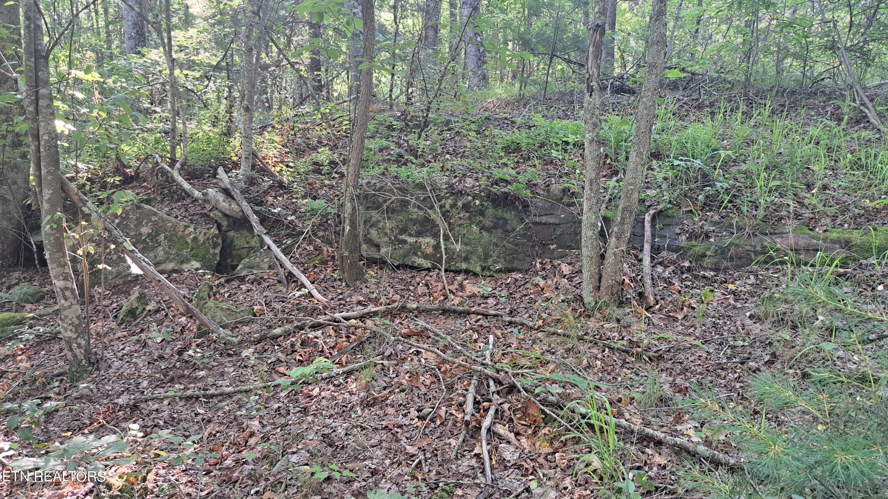 Airport Road Rockwood, TN 37854 - Photo 19 of 33 20240606_174430