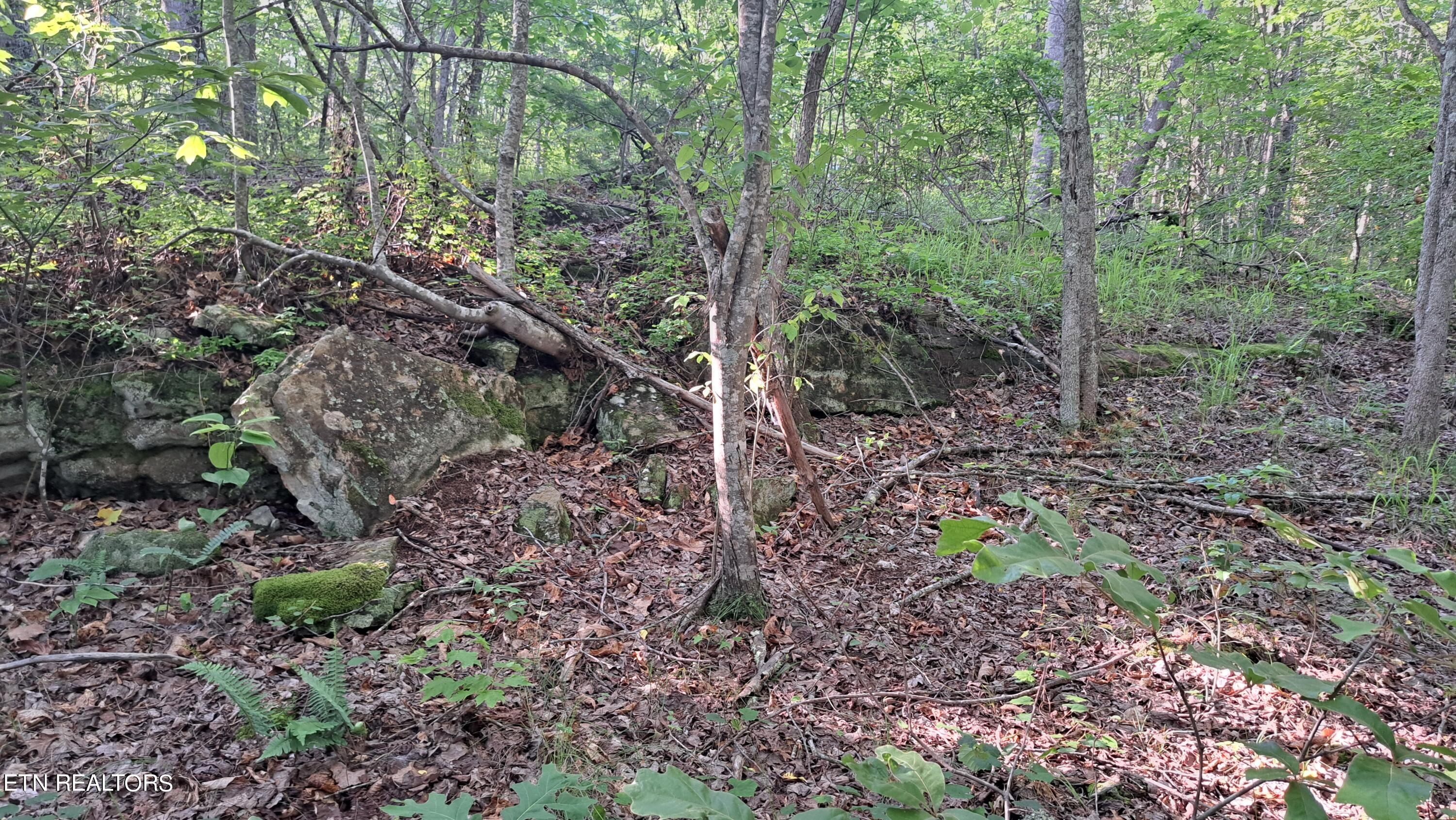 Airport Road Rockwood, TN 37854 - Photo 28 of 33 20240606_174527