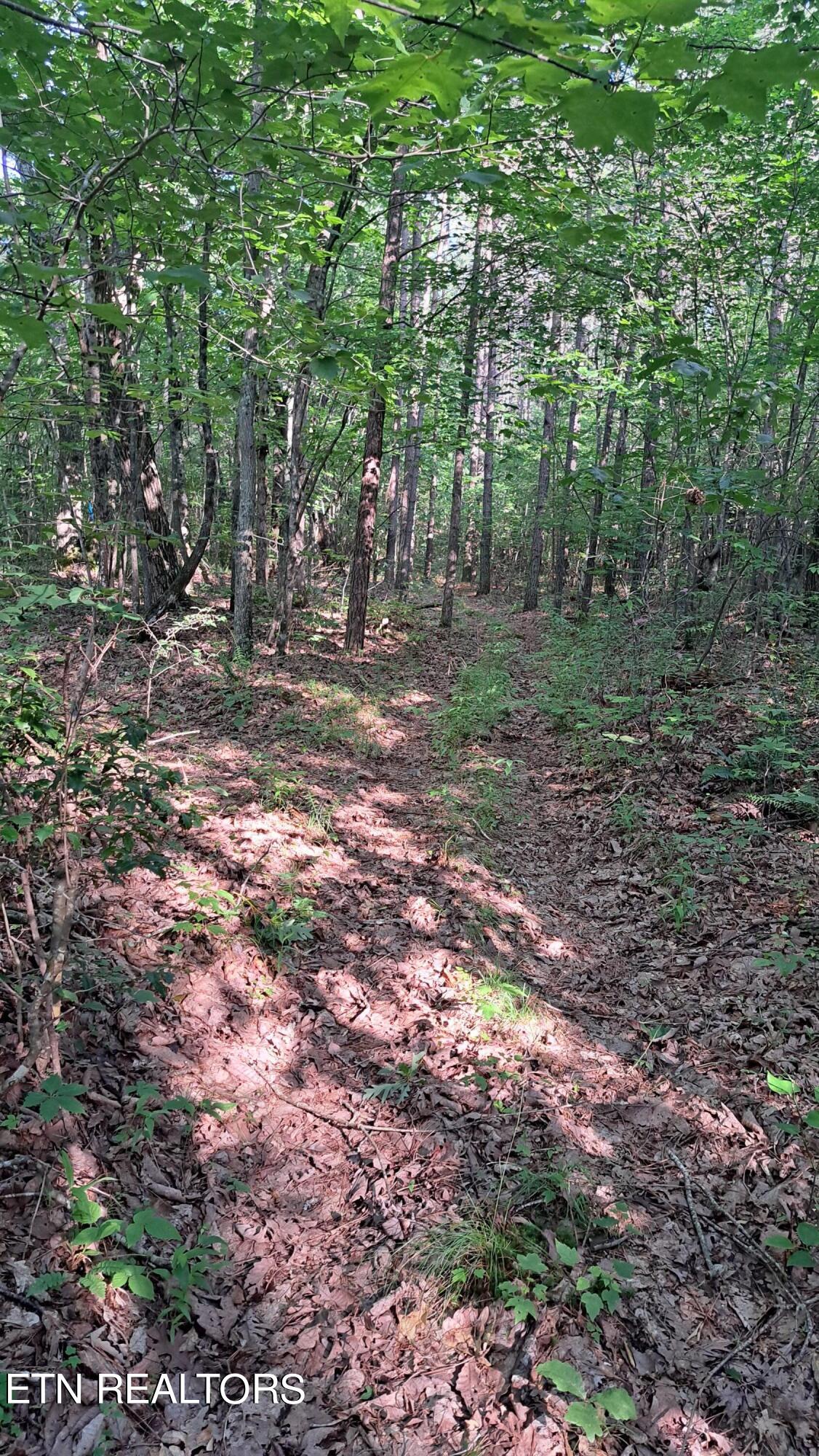 Airport Road Rockwood, TN 37854 - Photo 4 of 33 20240606_173504