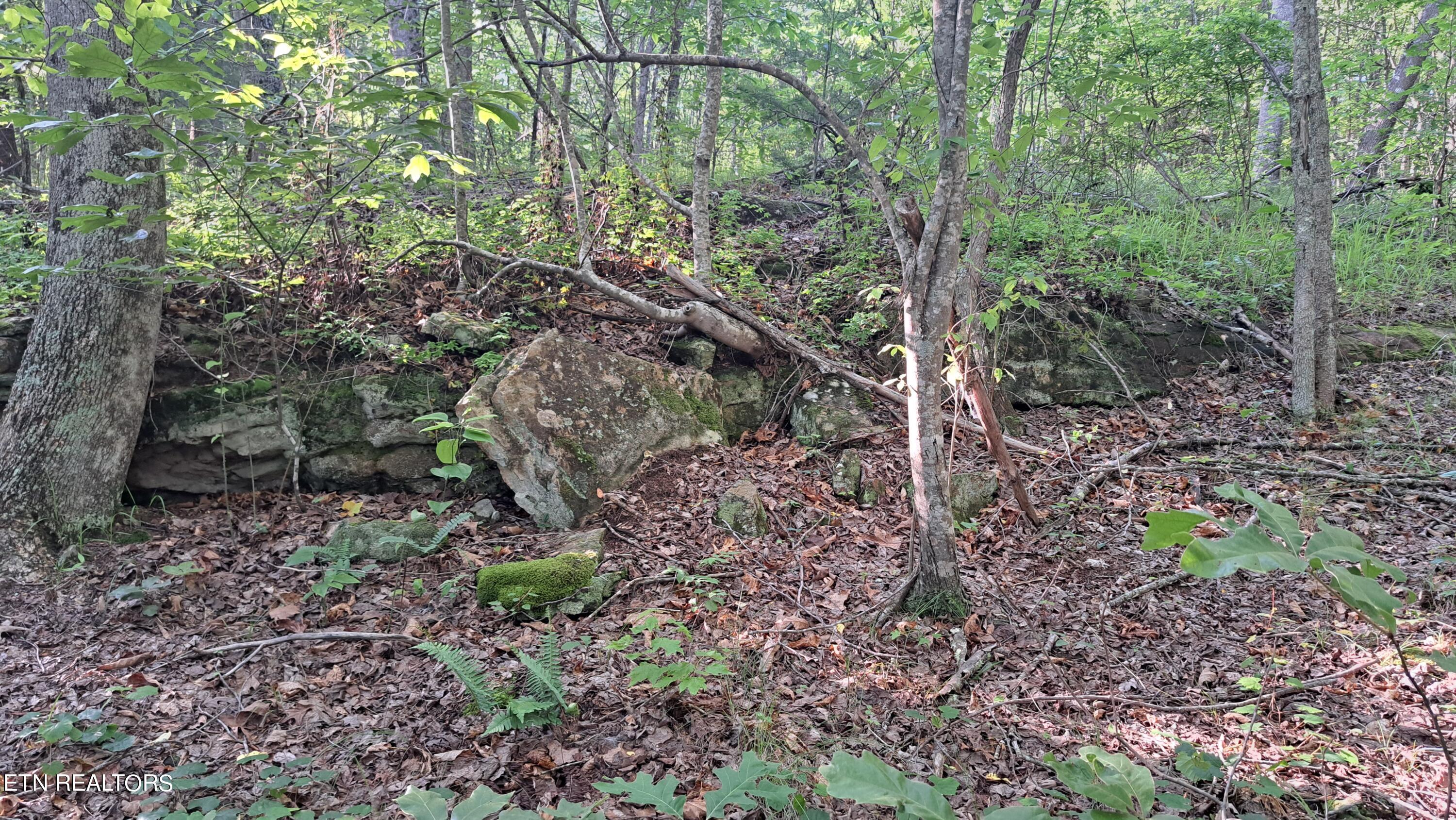 Airport Road Rockwood, TN 37854 - Photo 6 of 33 20240606_174528