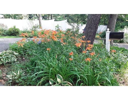 33 Carter's Bridge Road Plymouth, MA 02360 - Photo 4 of 27