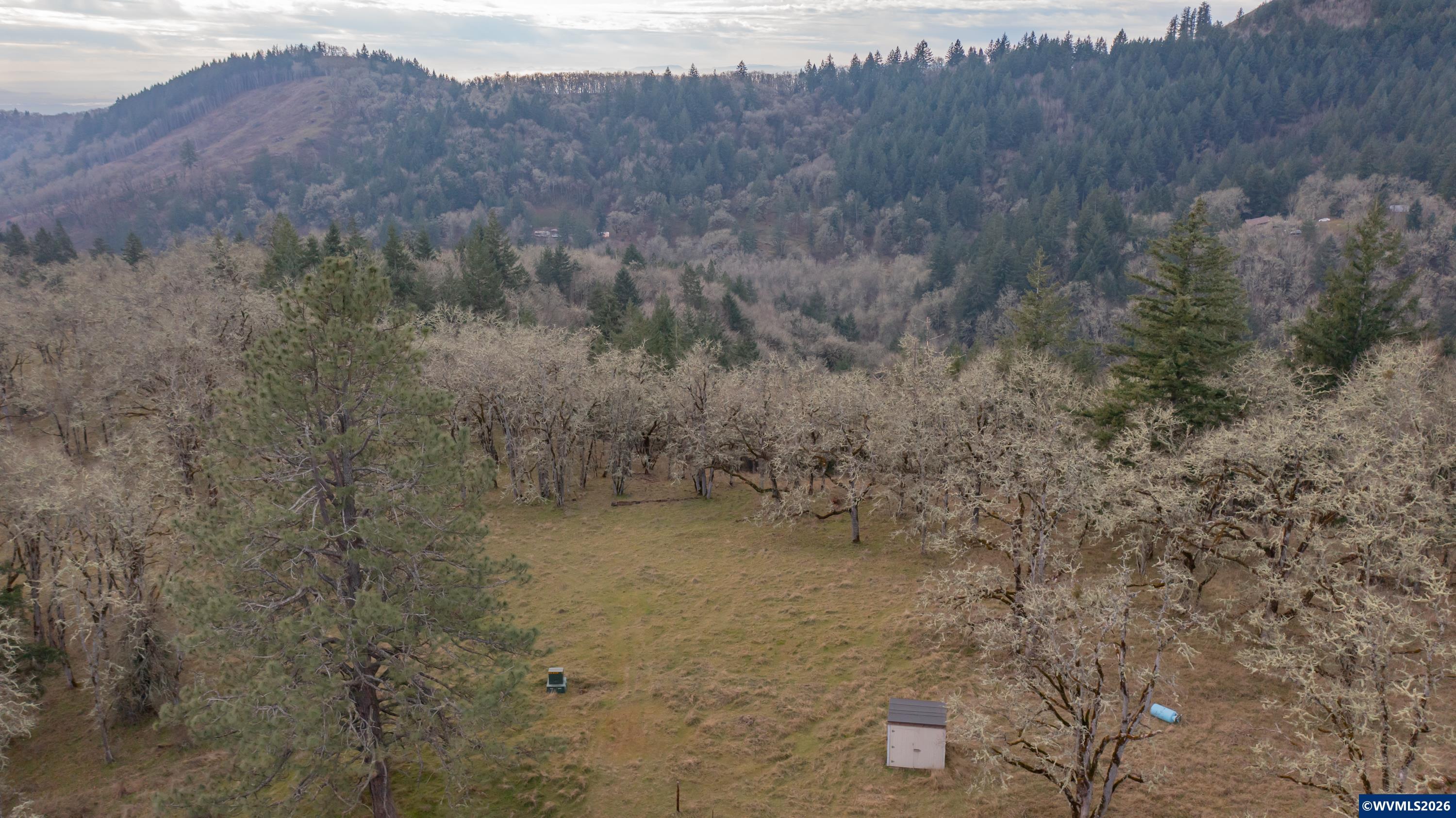 25045 Gap Road Brownsville, OR 97327 - Photo 43 of 49