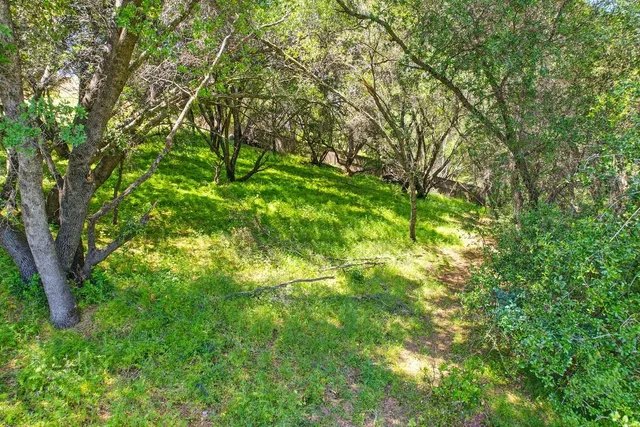 a view of a street with houses