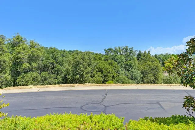 a view of a yard with a tree