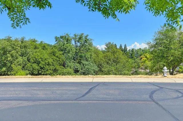 a view of a wooden floor with a tree in the background