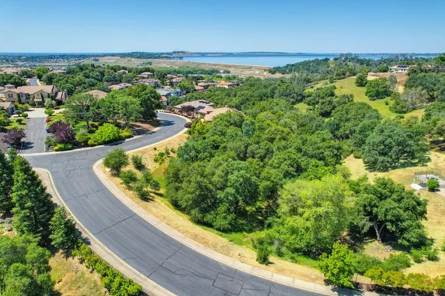 a view of a garden with plants