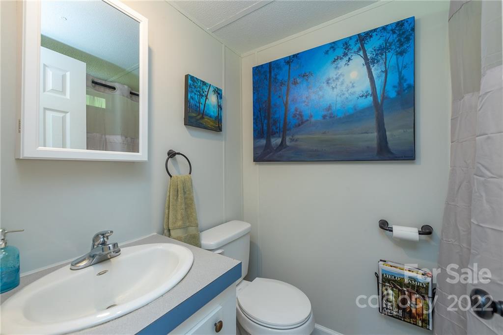 222 Bee Ridge Road Asheville, NC 28803 - Photo 32 of 48 Gallery Image 32