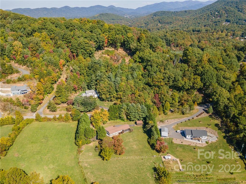 222 Bee Ridge Road Asheville, NC 28803 - Photo 4 of 48 Gallery Image 4