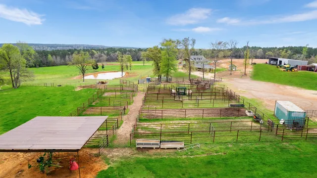 a view of a house with backyard garden and porch