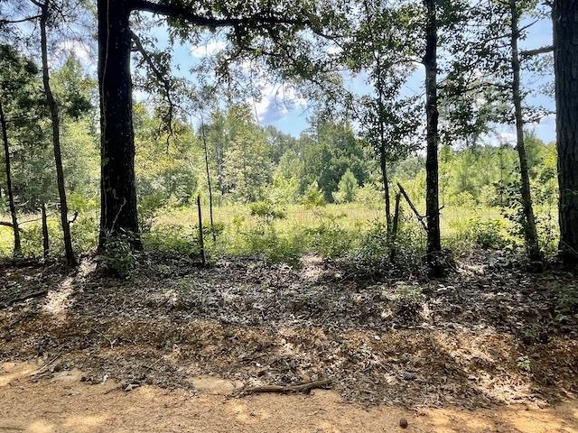 71290 Ralph Gantt Road Little River, AL 36550 - Photo 9 of 31