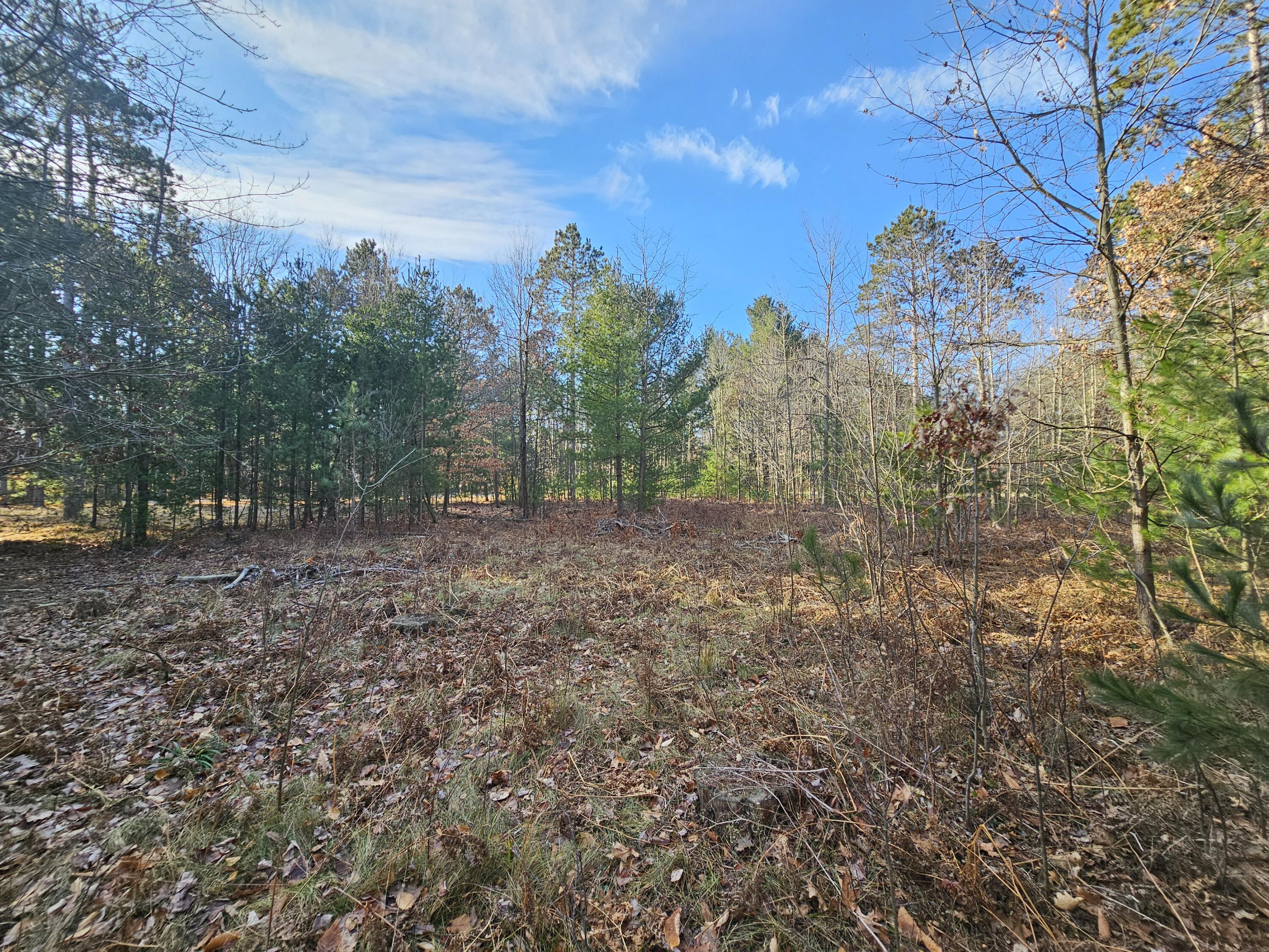 4960 Wayne Road Pentwater, MI 49449 - Photo 1 of 22 Wayne 2