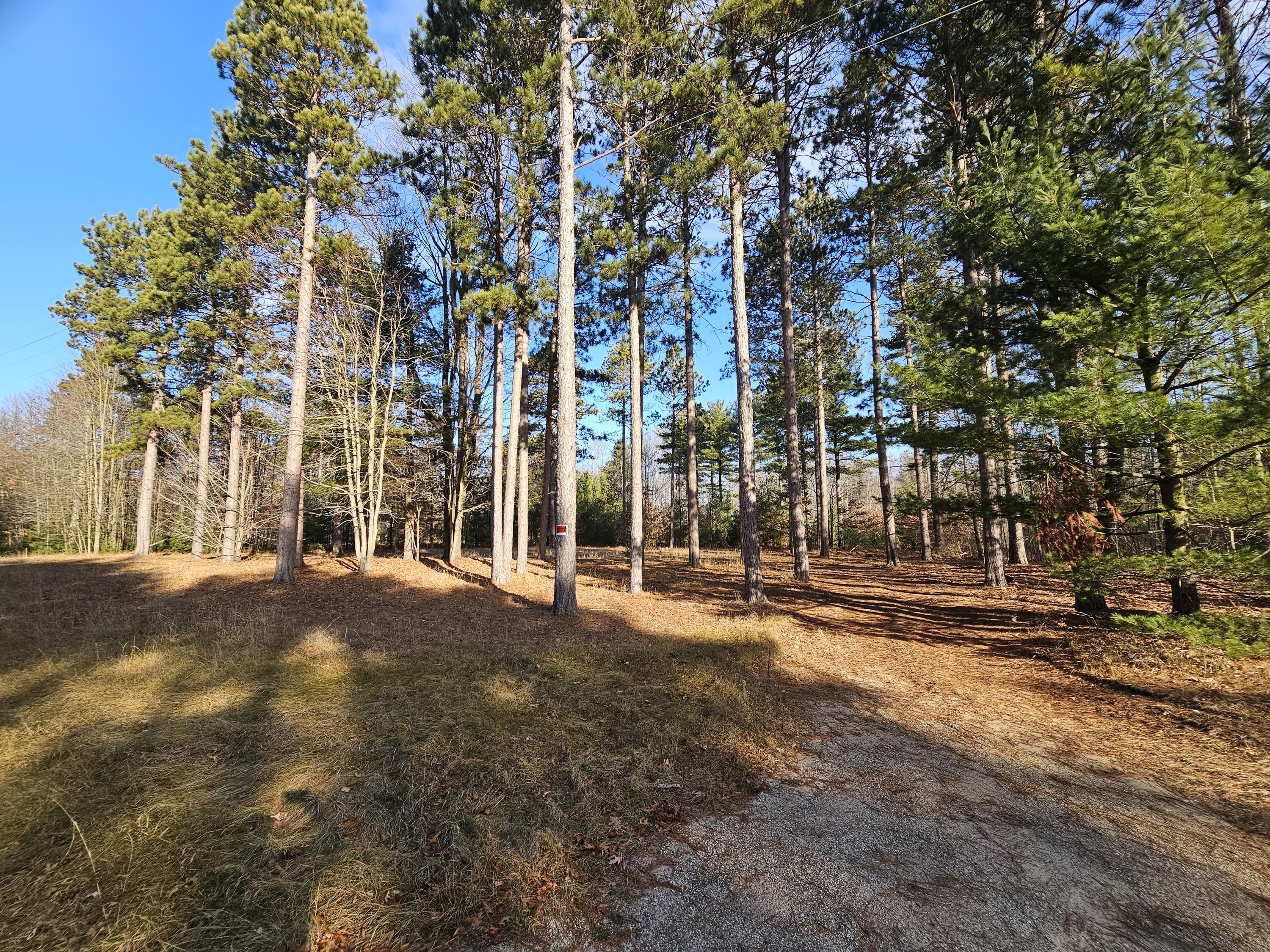 4960 Wayne Road Pentwater, MI 49449 - Photo 20 of 22 Wayne 30
