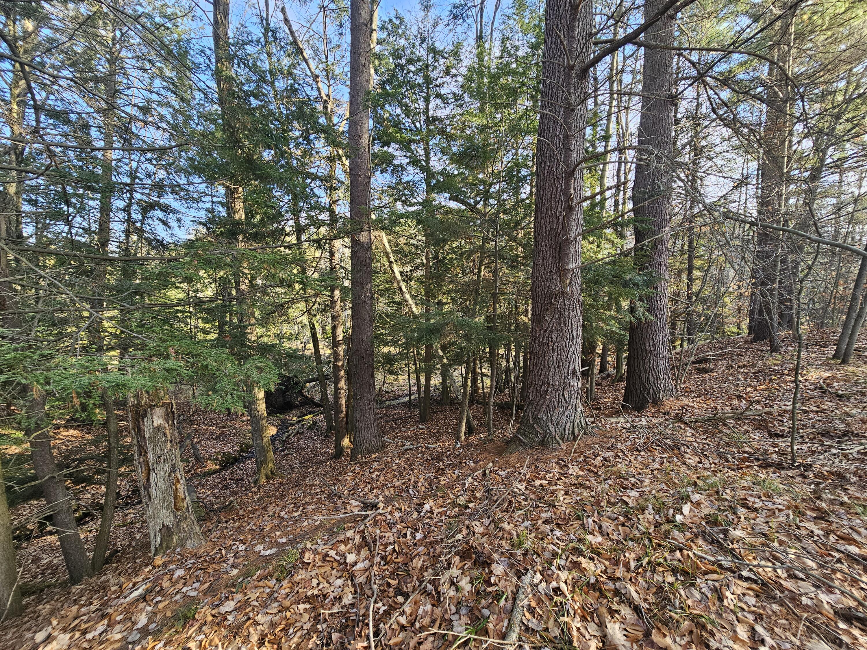 4960 Wayne Road Pentwater, MI 49449 - Photo 8 of 22 Wayne 11