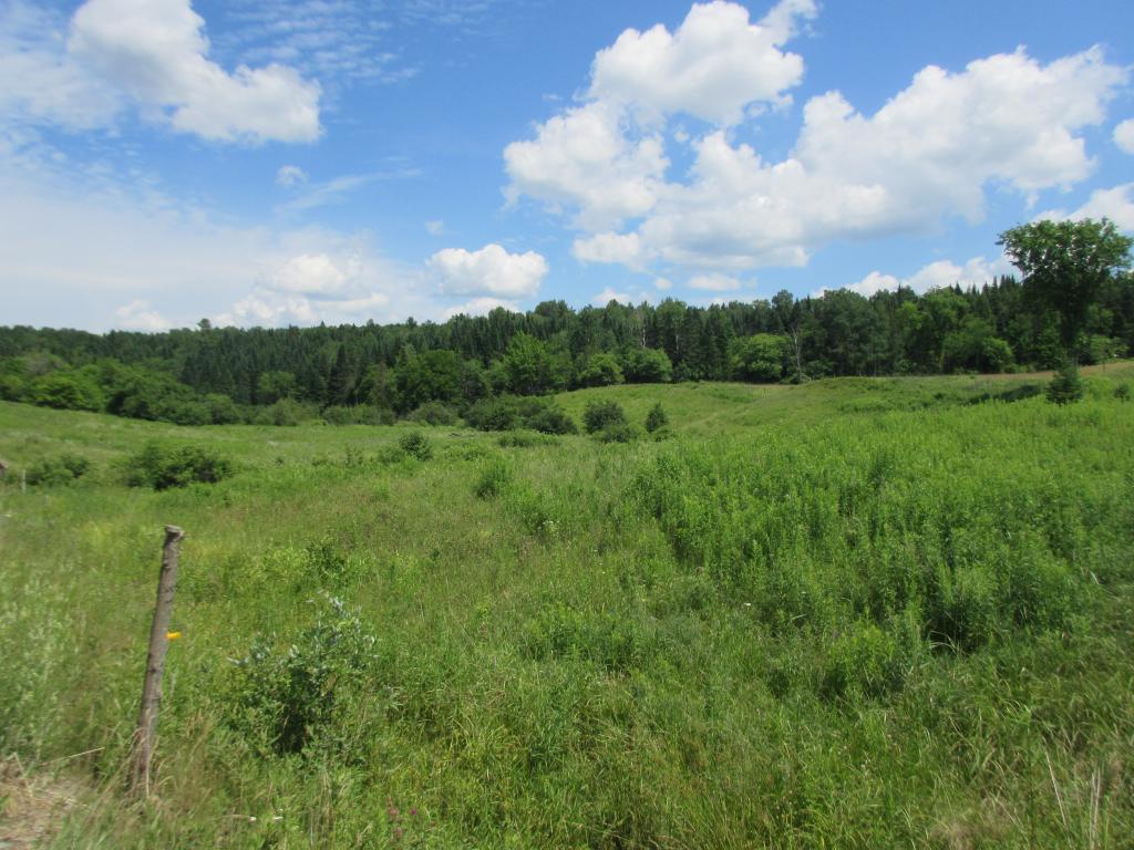 Lot 3 Buzzell Road Newport Center, VT 05857 - Photo 1 of 4 Gallery Image 1