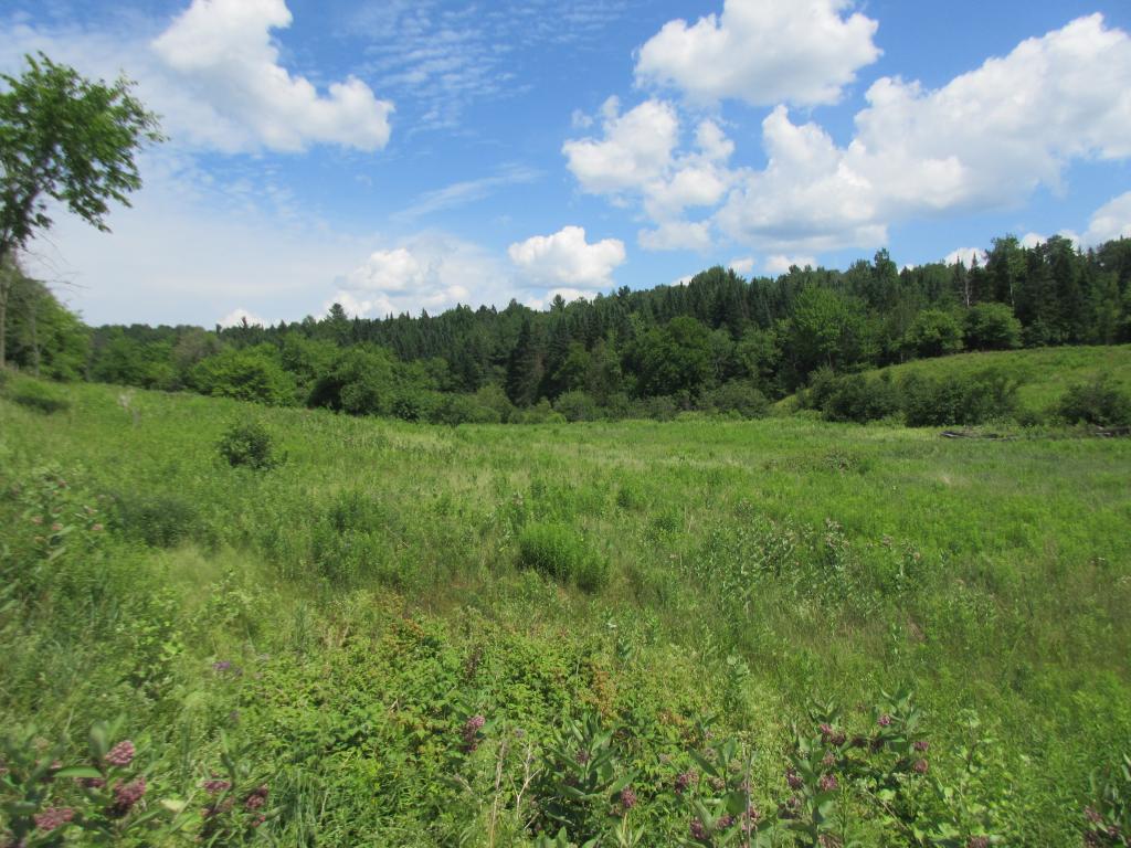 Lot 3 Buzzell Road Newport Center, VT 05857 - Photo 2 of 4 Gallery Image 2