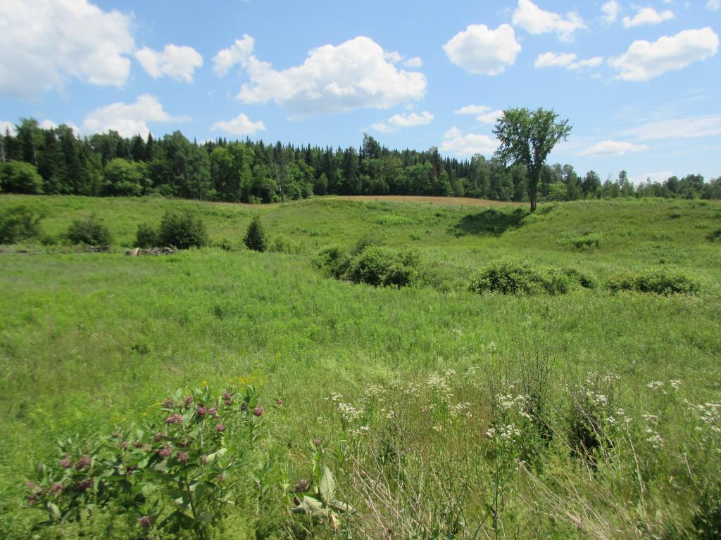 Lot 3 Buzzell Road Newport Center, VT 05857 - Photo 3 of 4 Gallery Image 3