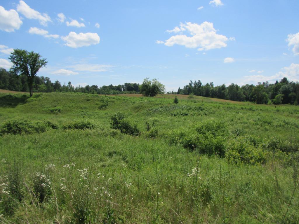Lot 3 Buzzell Road Newport Center, VT 05857 - Photo 4 of 4 Gallery Image 4