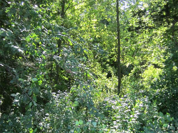 Lot 6 Quissett Road Mendon, MA 01756 - Photo 2 of 2 Gallery Image 2