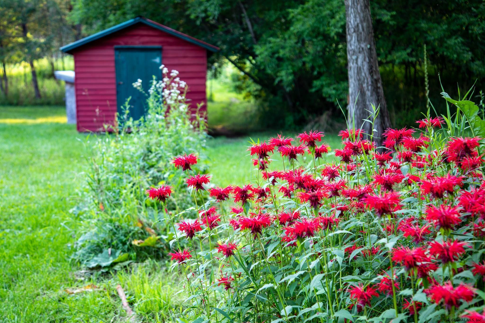837 Little York Road Cobleskill, NY 12043 - Photo 49 of 67 Photo 49