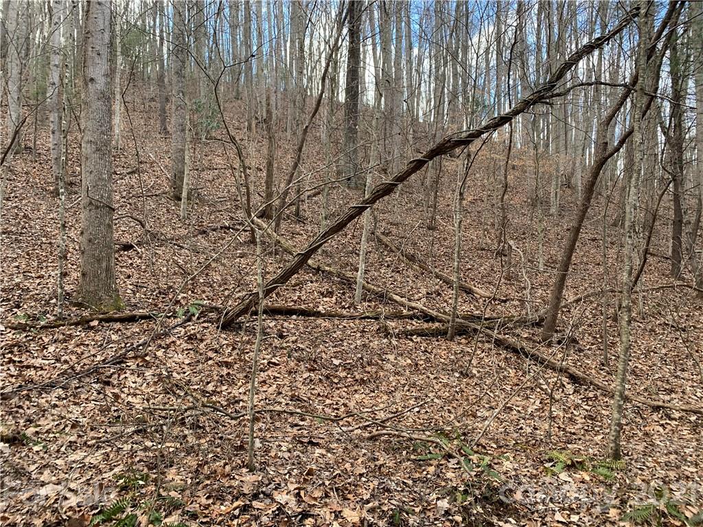 Tbd Dix Creek One Road, Unit 1 Leicester, NC 28748 - Photo 13 of 14