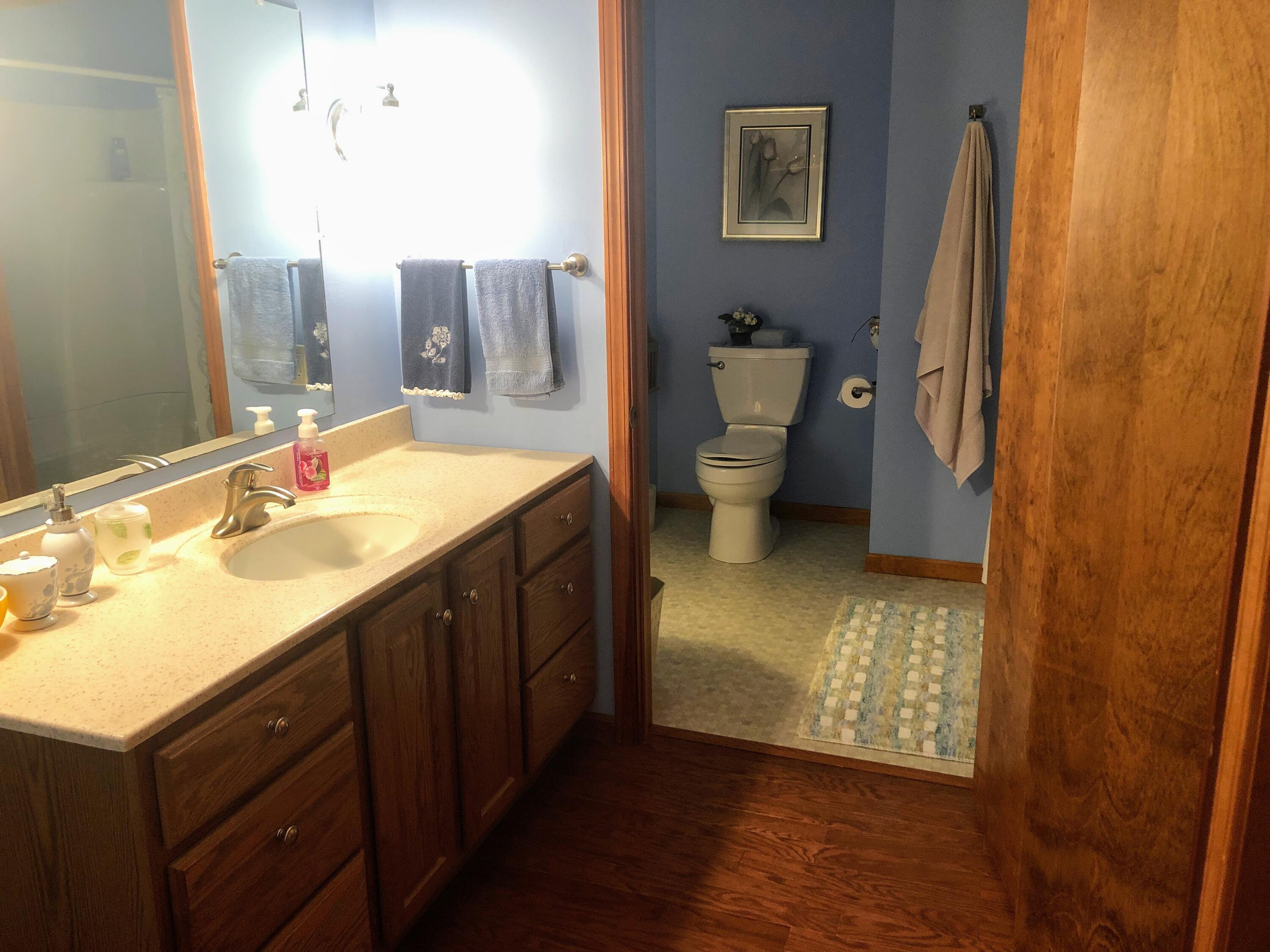 21075 1 Mile Road Reed City, MI 49677 - Photo 15 of 43 Master bathroom