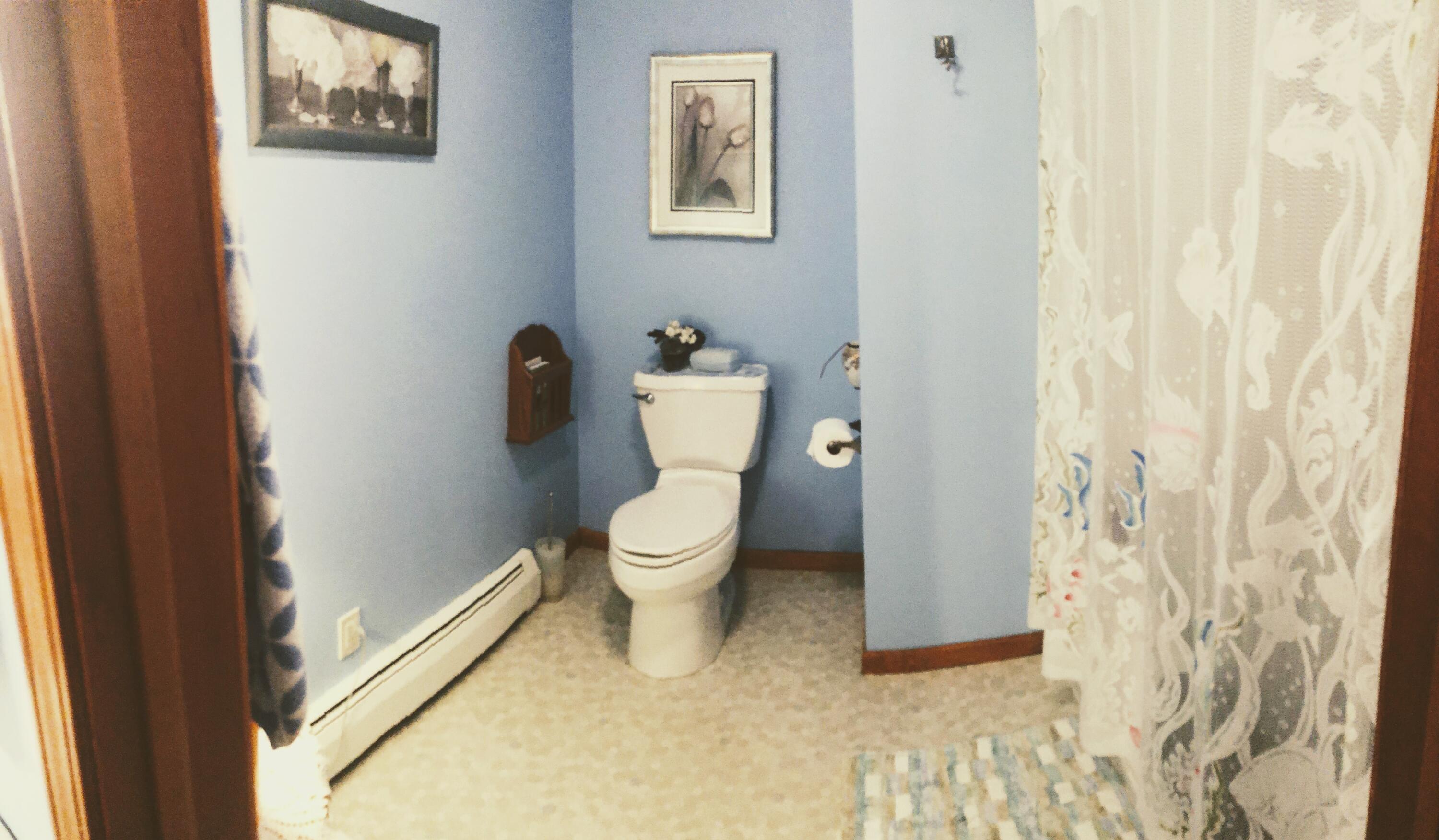 21075 1 Mile Road Reed City, MI 49677 - Photo 16 of 43 master bath