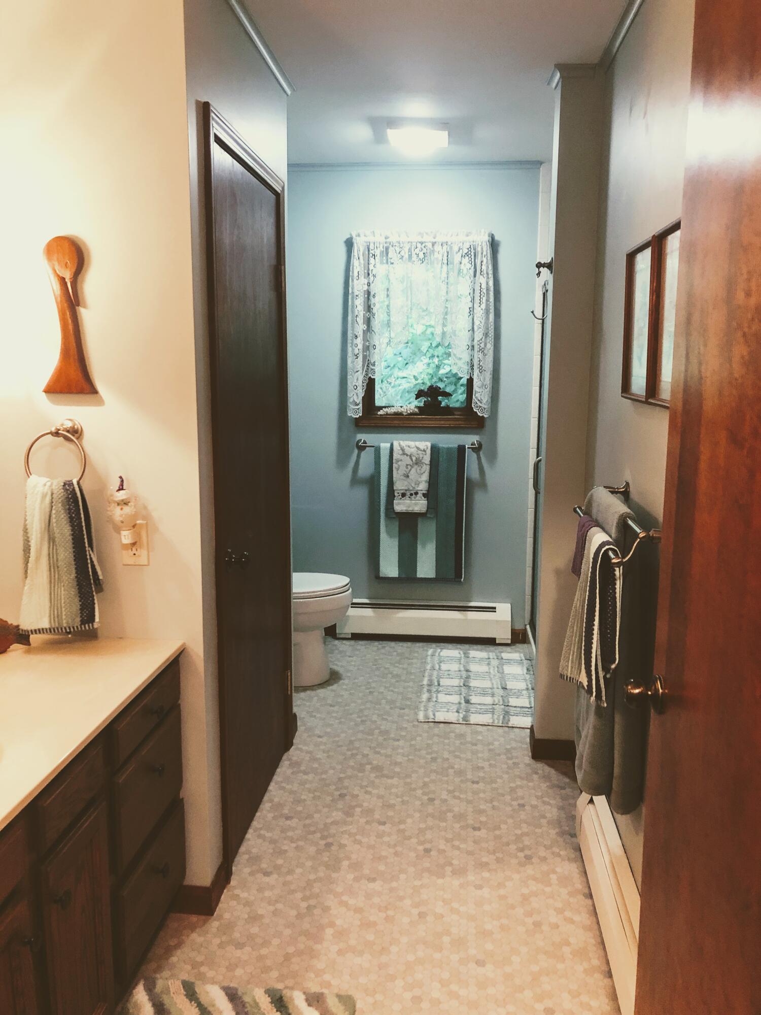 21075 1 Mile Road Reed City, MI 49677 - Photo 22 of 43 2nd bathroom