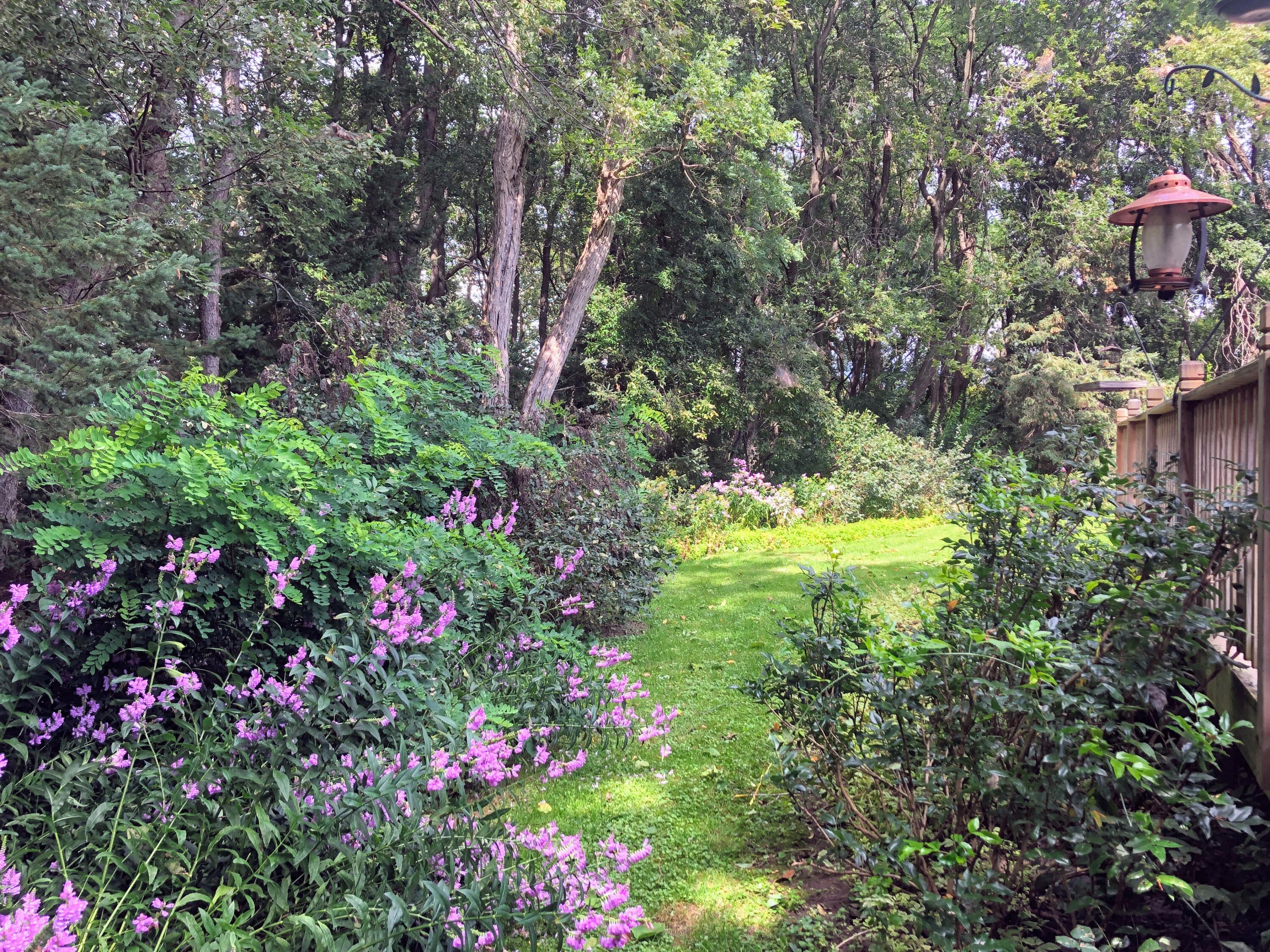 21075 1 Mile Road Reed City, MI 49677 - Photo 31 of 43 Back Yard