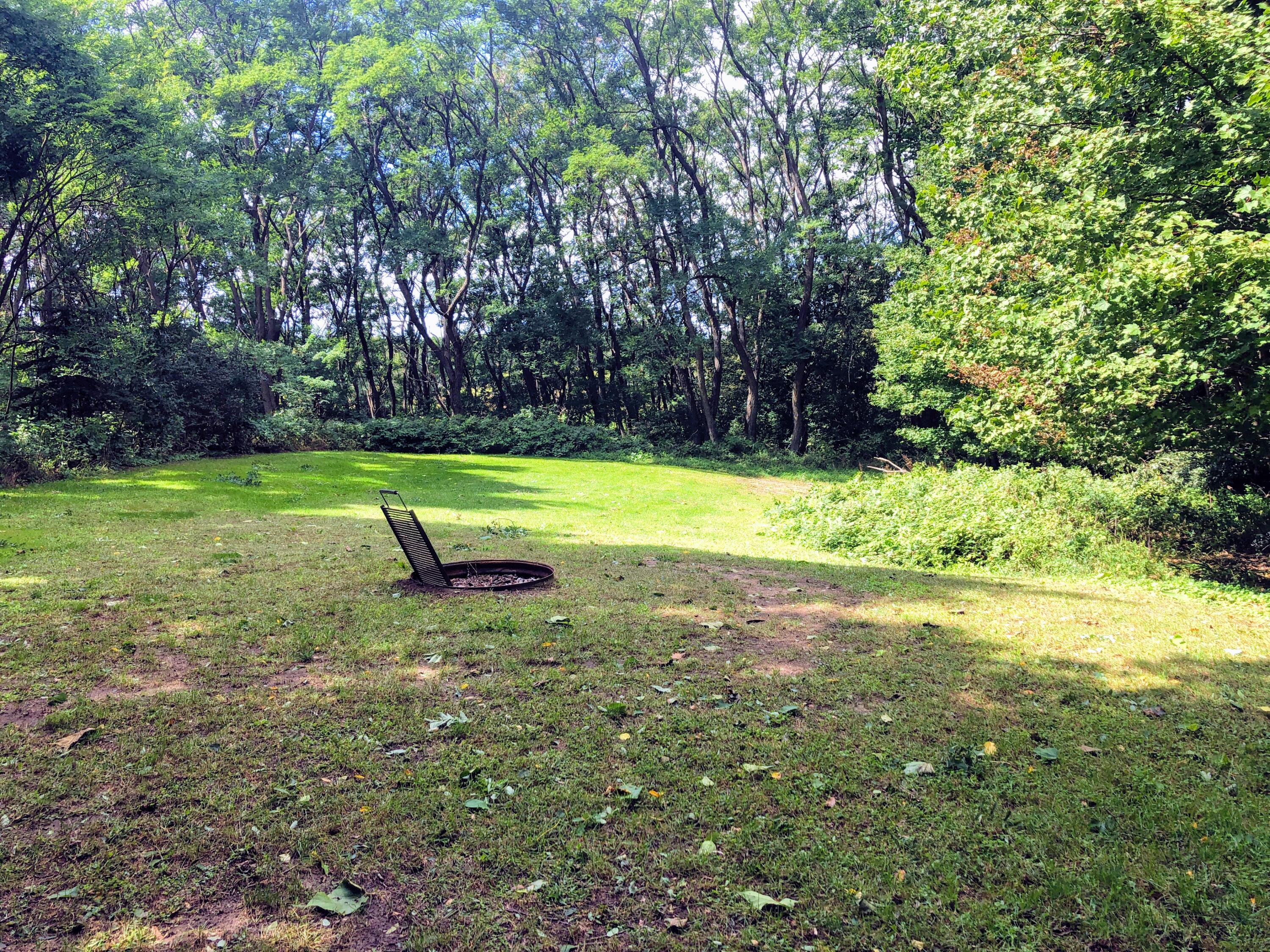 21075 1 Mile Road Reed City, MI 49677 - Photo 35 of 43 Back yard