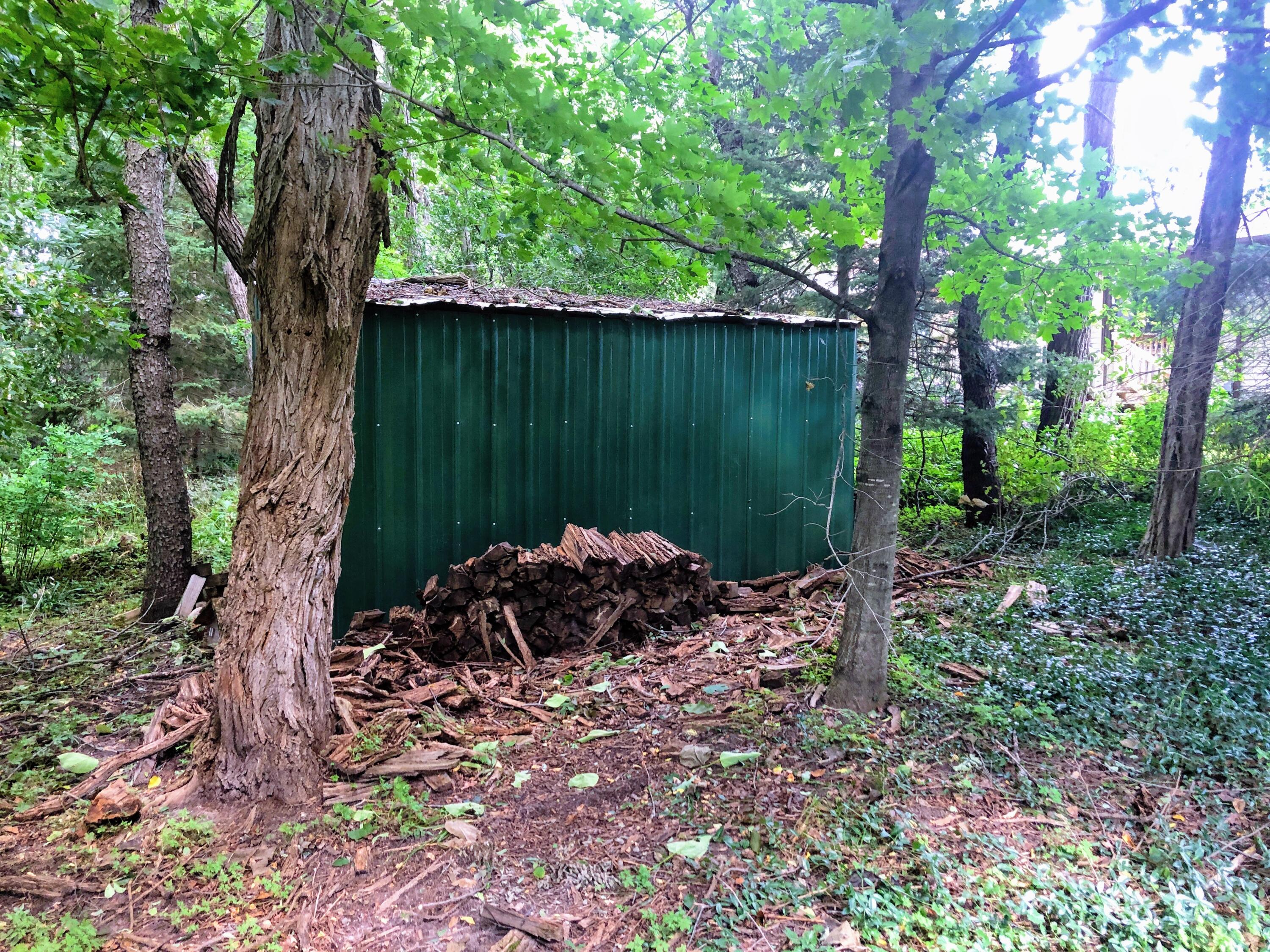21075 1 Mile Road Reed City, MI 49677 - Photo 37 of 43 wood shed