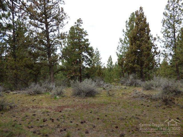 3202 McClellan Road Bend, OR 97702 - Photo 14 of 25 a view of a dry yard with trees in the background