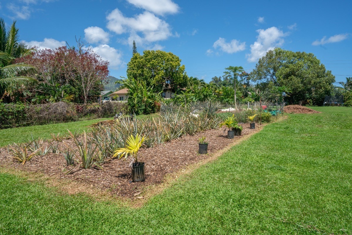 6111 Olohena Road, Unit 1 Kapaa, HI 96746 - Photo 20 of 30