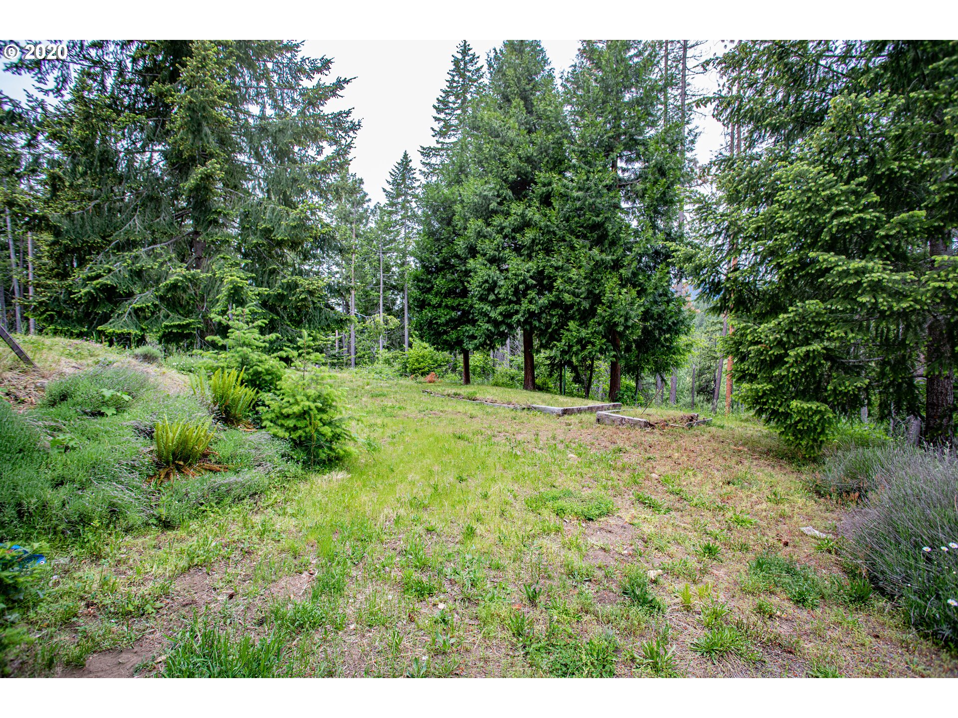 204 Mt Adams Road Trout Lake, WA 98650 - Photo 8 of 28 Gallery Image 8