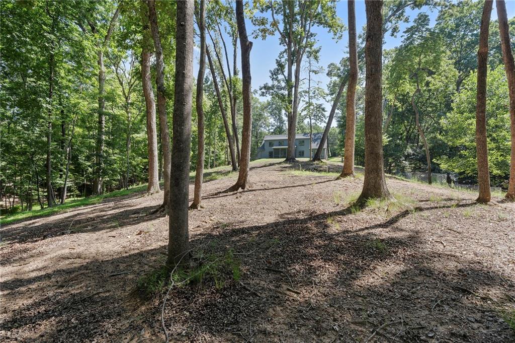 3394 Robinson Road Gainesville, GA 30506 - Photo 60 of 61