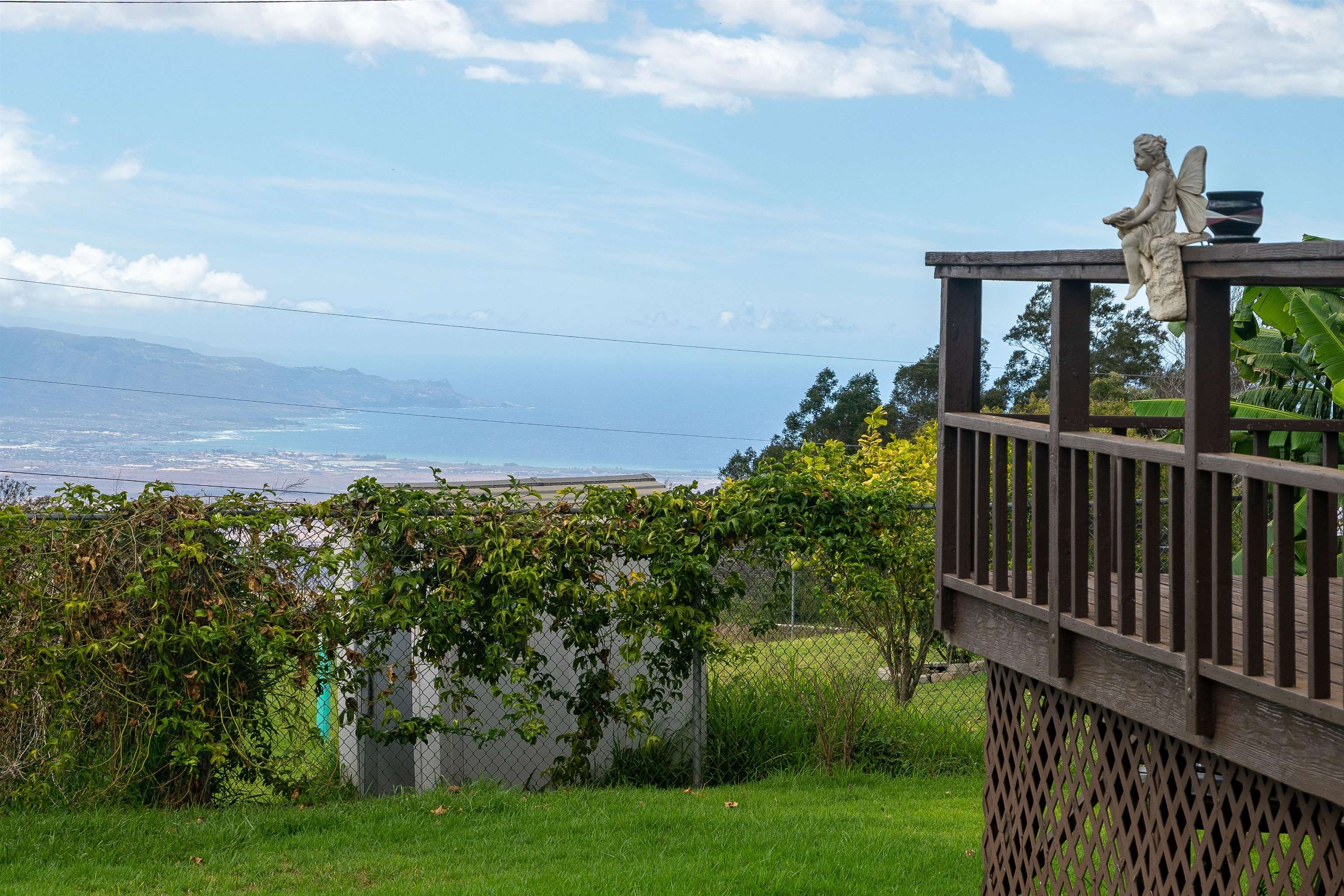 5340 Lower Kula Road Kula, HI 96790 - Photo 15 of 29 a view of a garden and deck