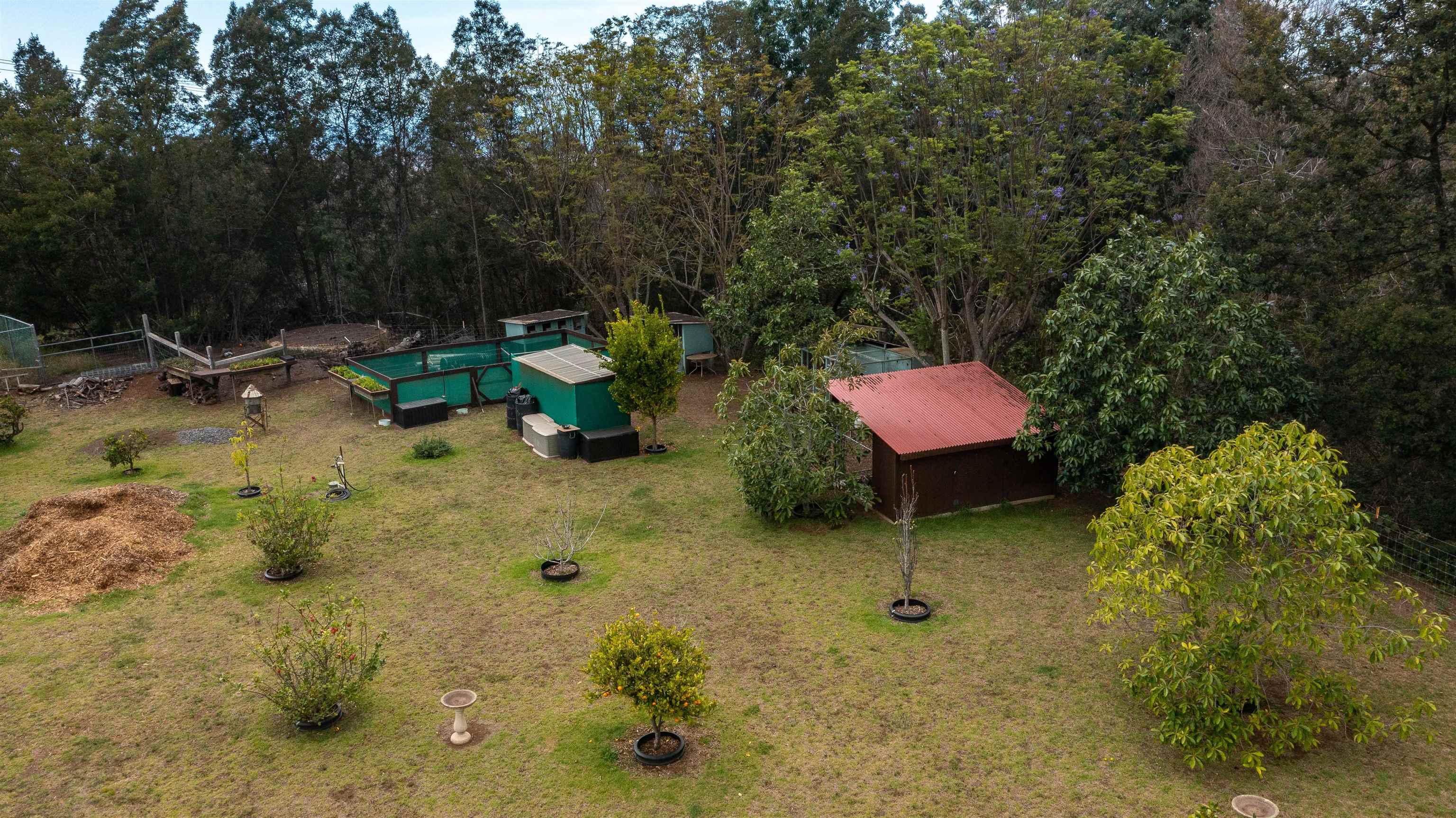 5340 Lower Kula Road Kula, HI 96790 - Photo 20 of 29 a backyard of a house with table and chairs