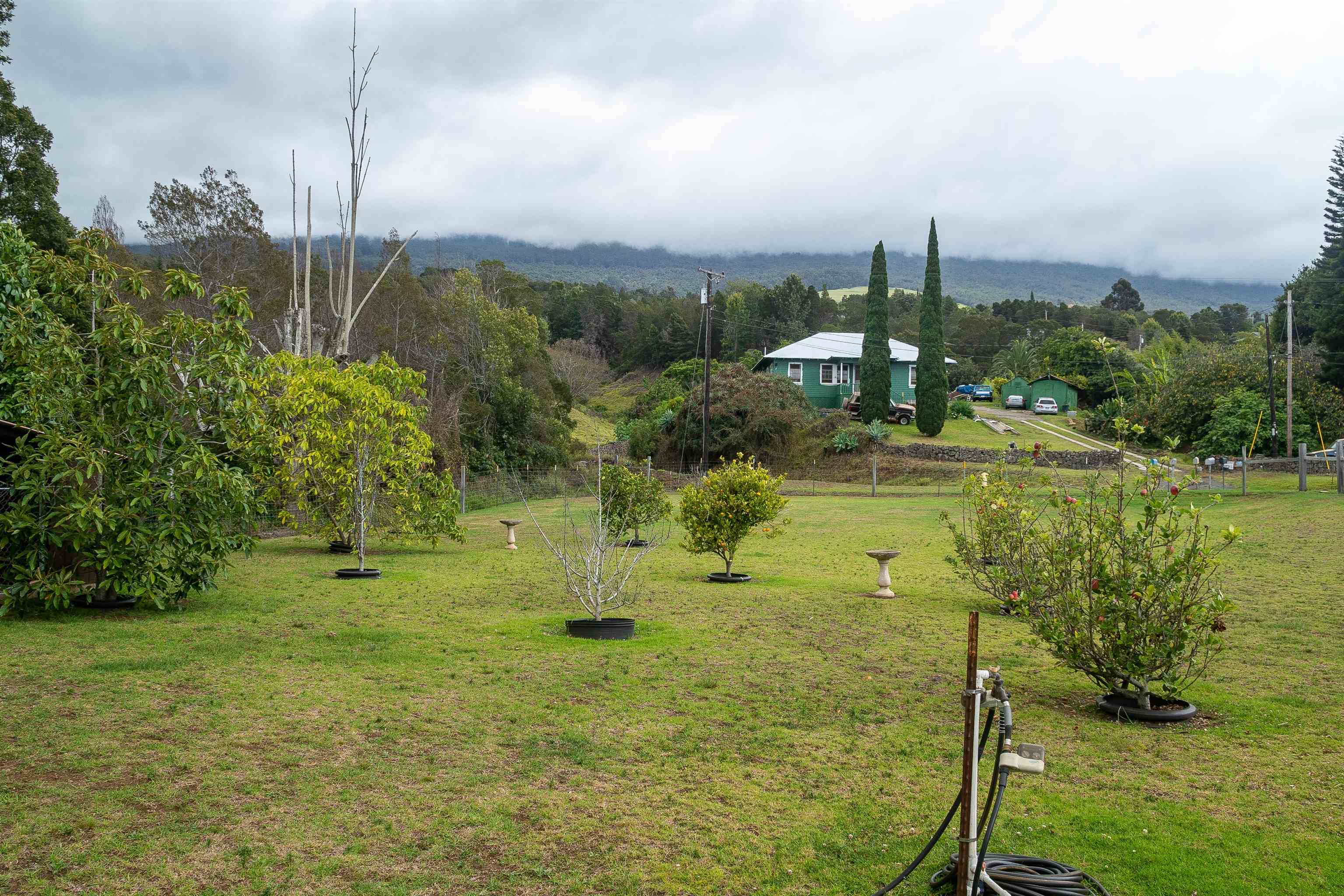 5340 Lower Kula Road Kula, HI 96790 - Photo 23 of 29 a view of a city