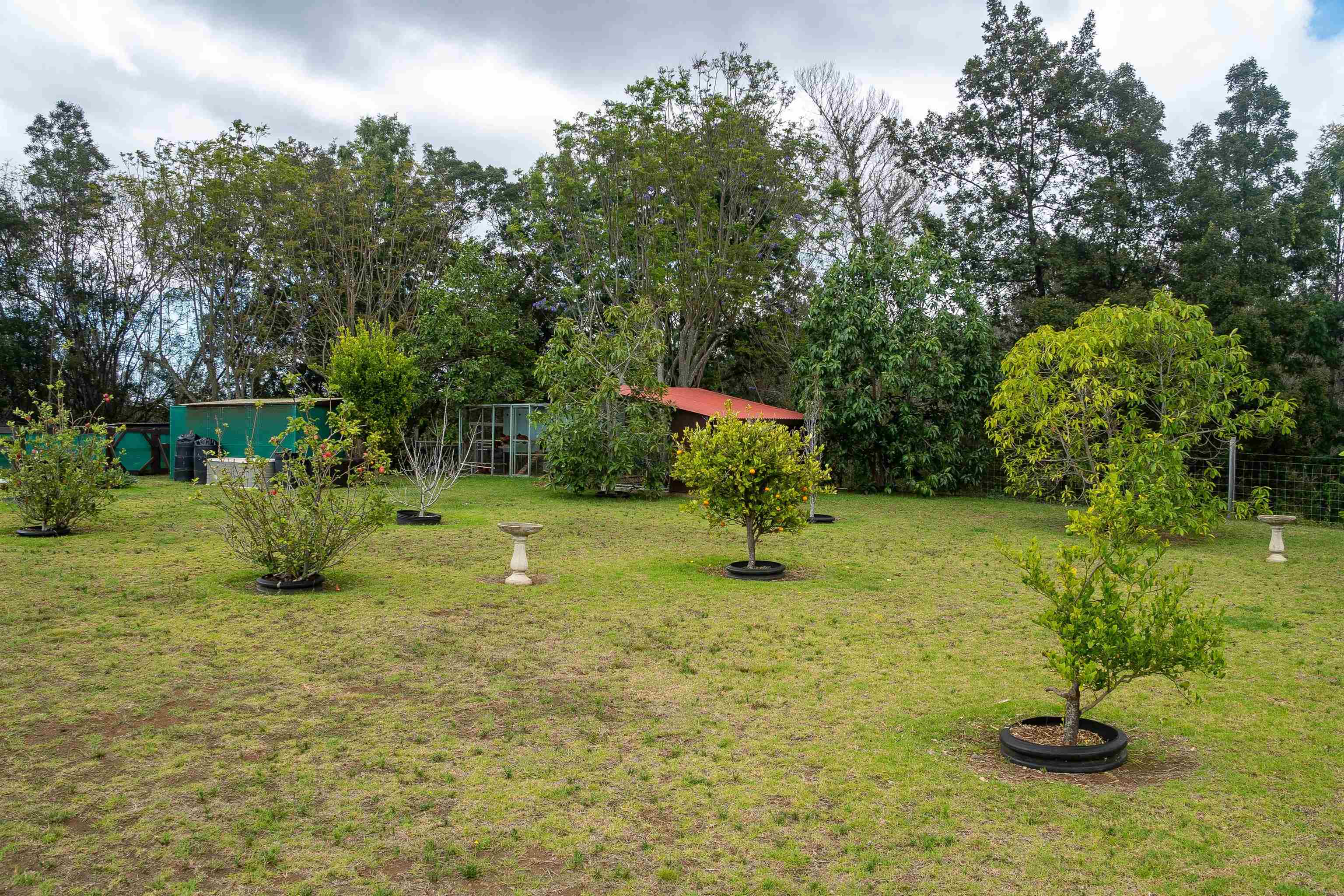 5340 Lower Kula Road Kula, HI 96790 - Photo 24 of 29 a view of a park