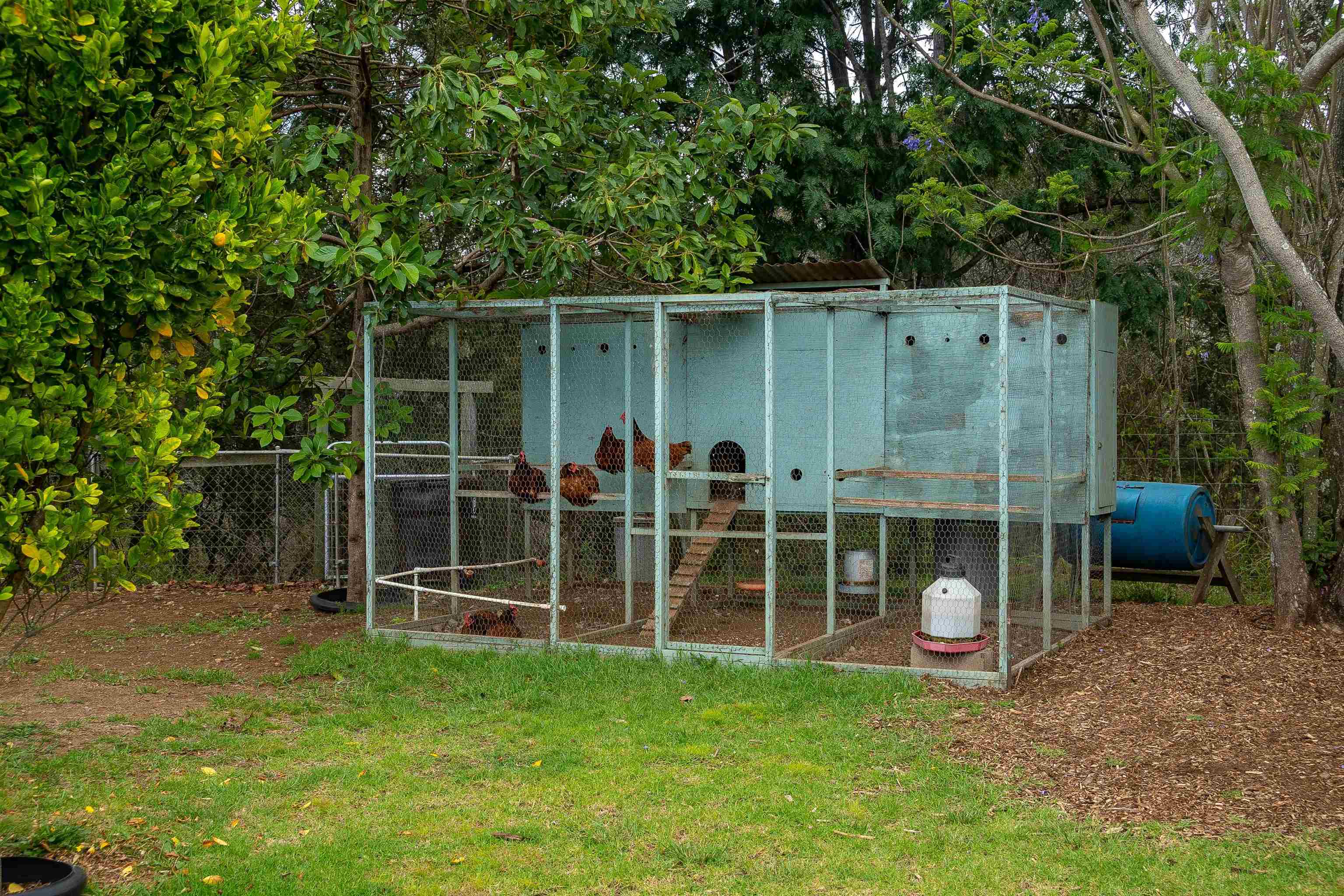 5340 Lower Kula Road Kula, HI 96790 - Photo 25 of 29 a view of an outdoor space