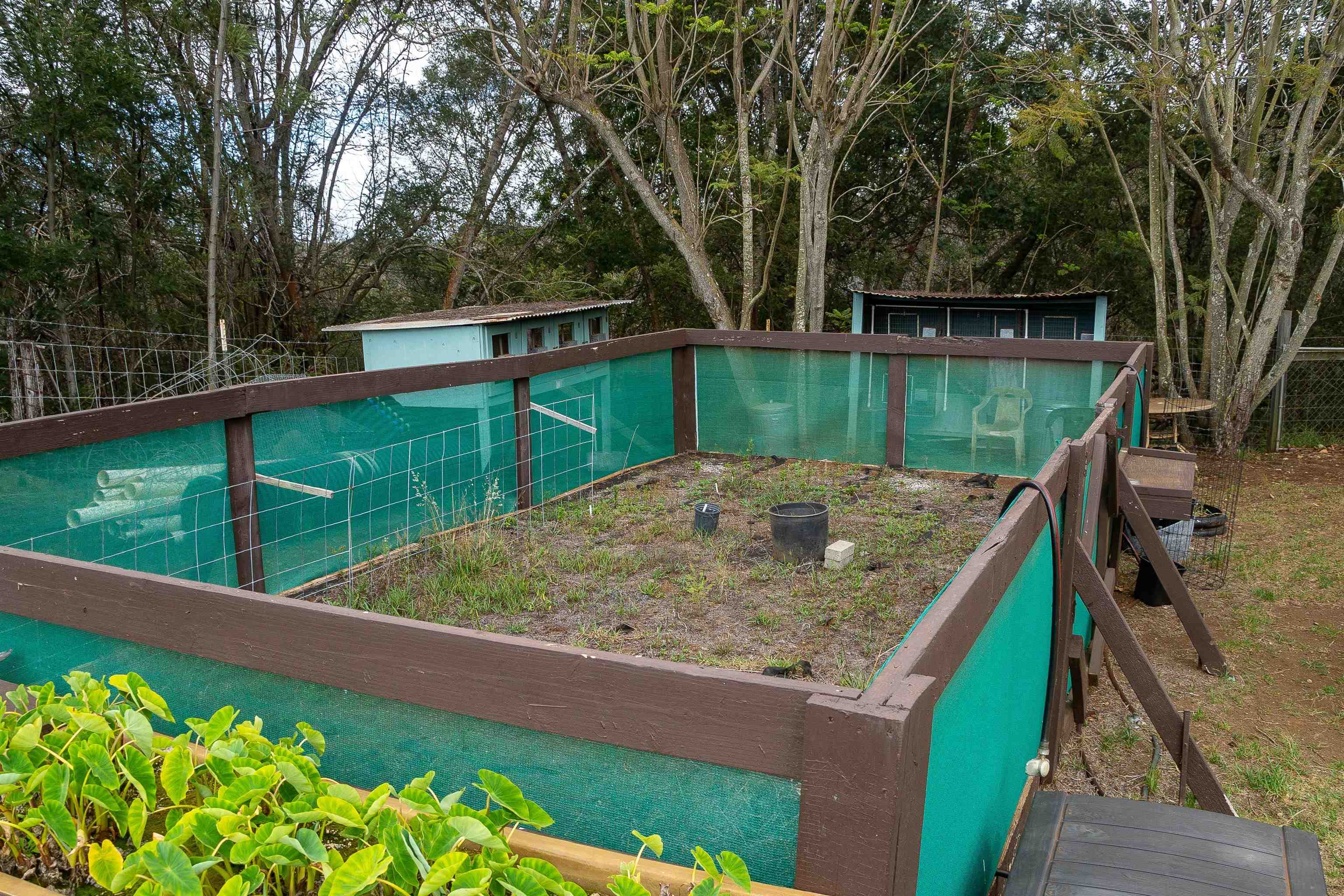5340 Lower Kula Road Kula, HI 96790 - Photo 26 of 29