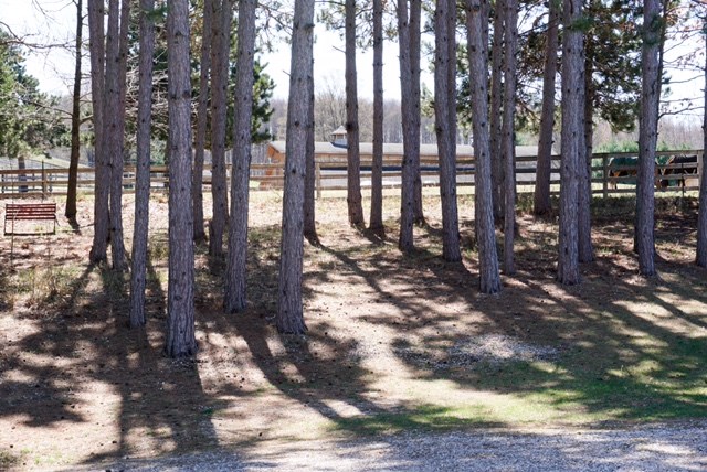 2557 Five Mile Road Traverse City, MI 49686 - Photo 28 of 30 1834077-27.JPG