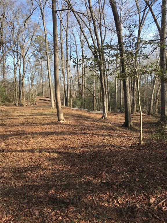 1618 Burns Bridge Road Anderson, SC 29625 - Photo 8 of 13 Gallery Image 8